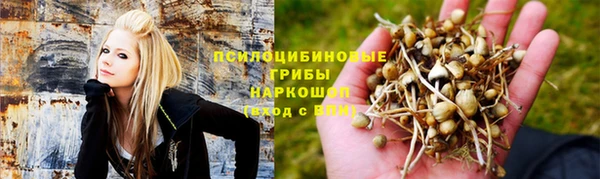 стаф Балабаново