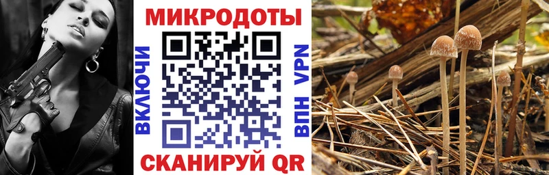 Галлюциногенные грибы прущие грибы  купить   Долгопрудный 