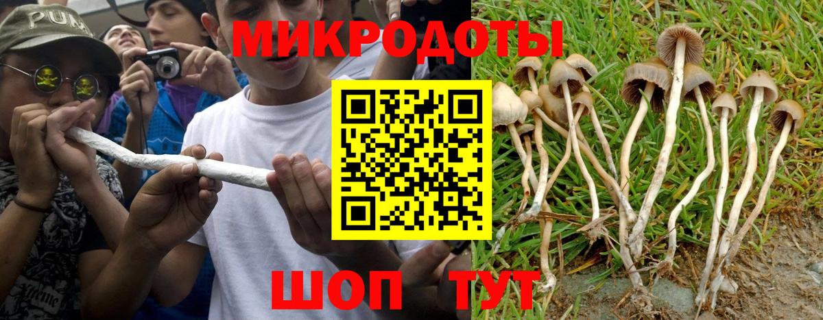 Долгопрудный  Галлюциногенные грибы Cubensis  Вход с VPN 
