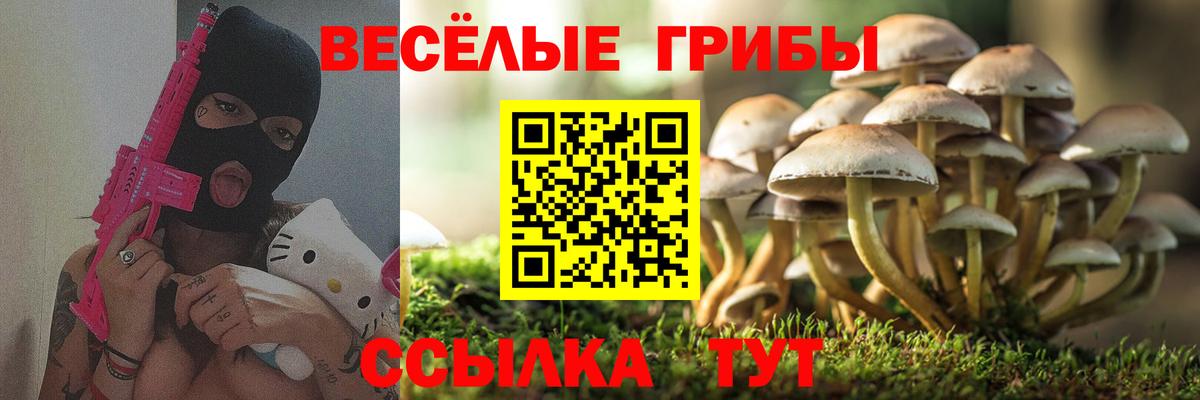 Галлюциногенные грибы Cubensis Долгопрудный